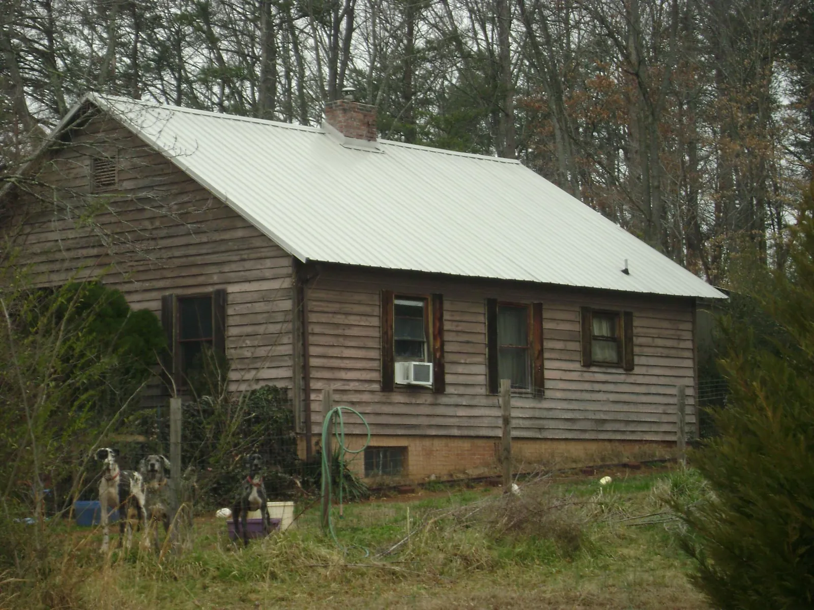 White metal roof on an old wood sided farmhouse, from a Asphalt Shingle Roof Repair job in Atomic City